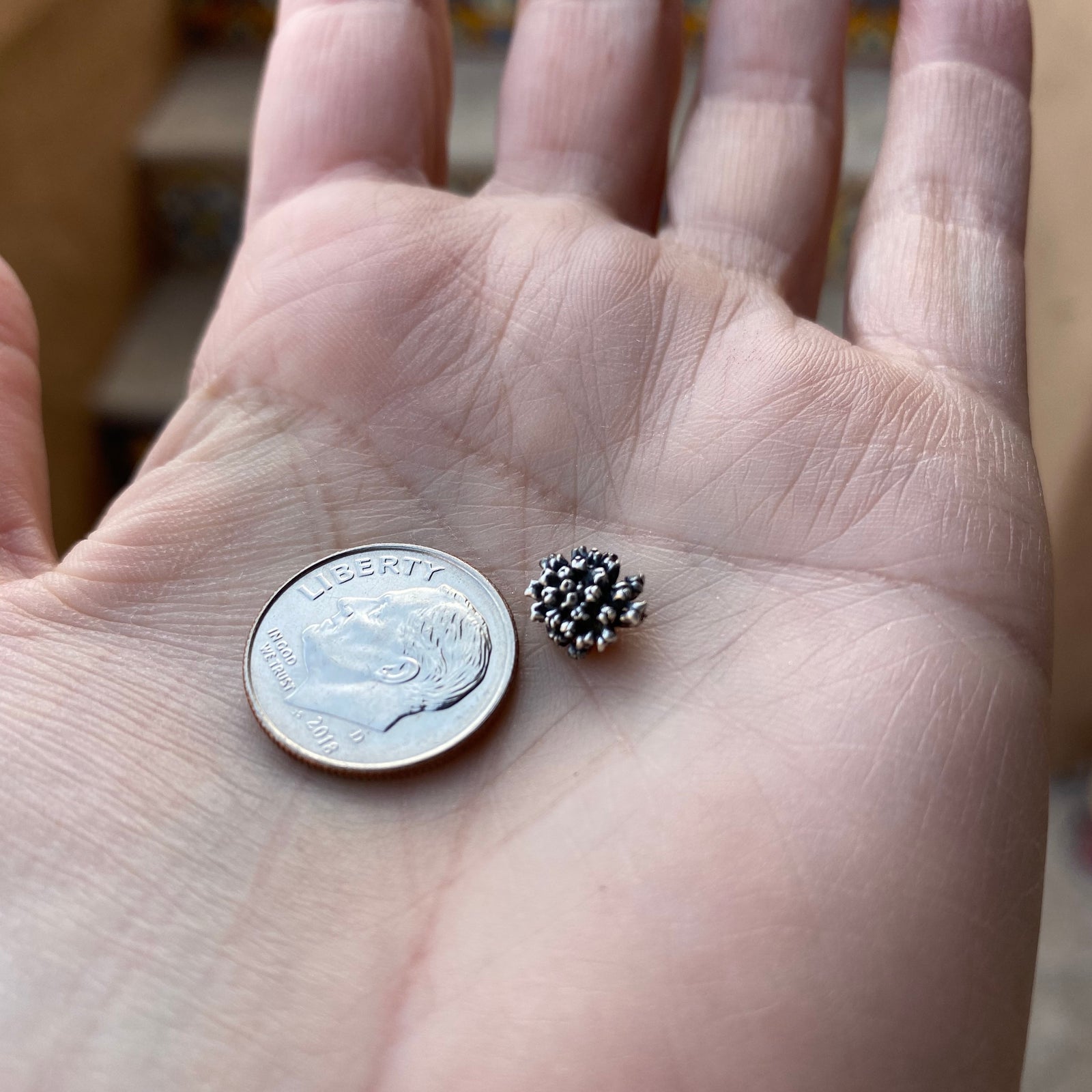 organic cast pom pom flower with dime for size reference