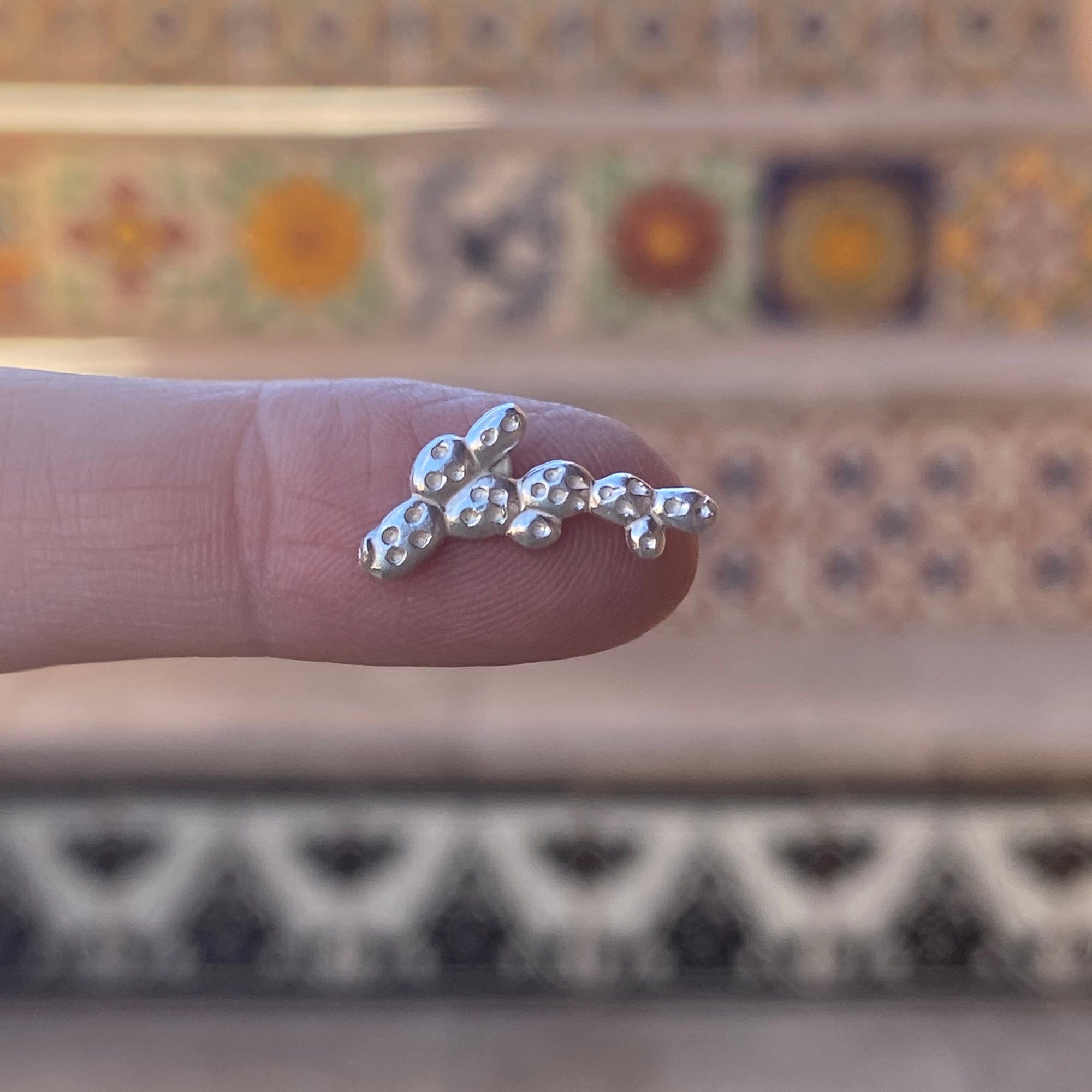 silver prickly pear casting