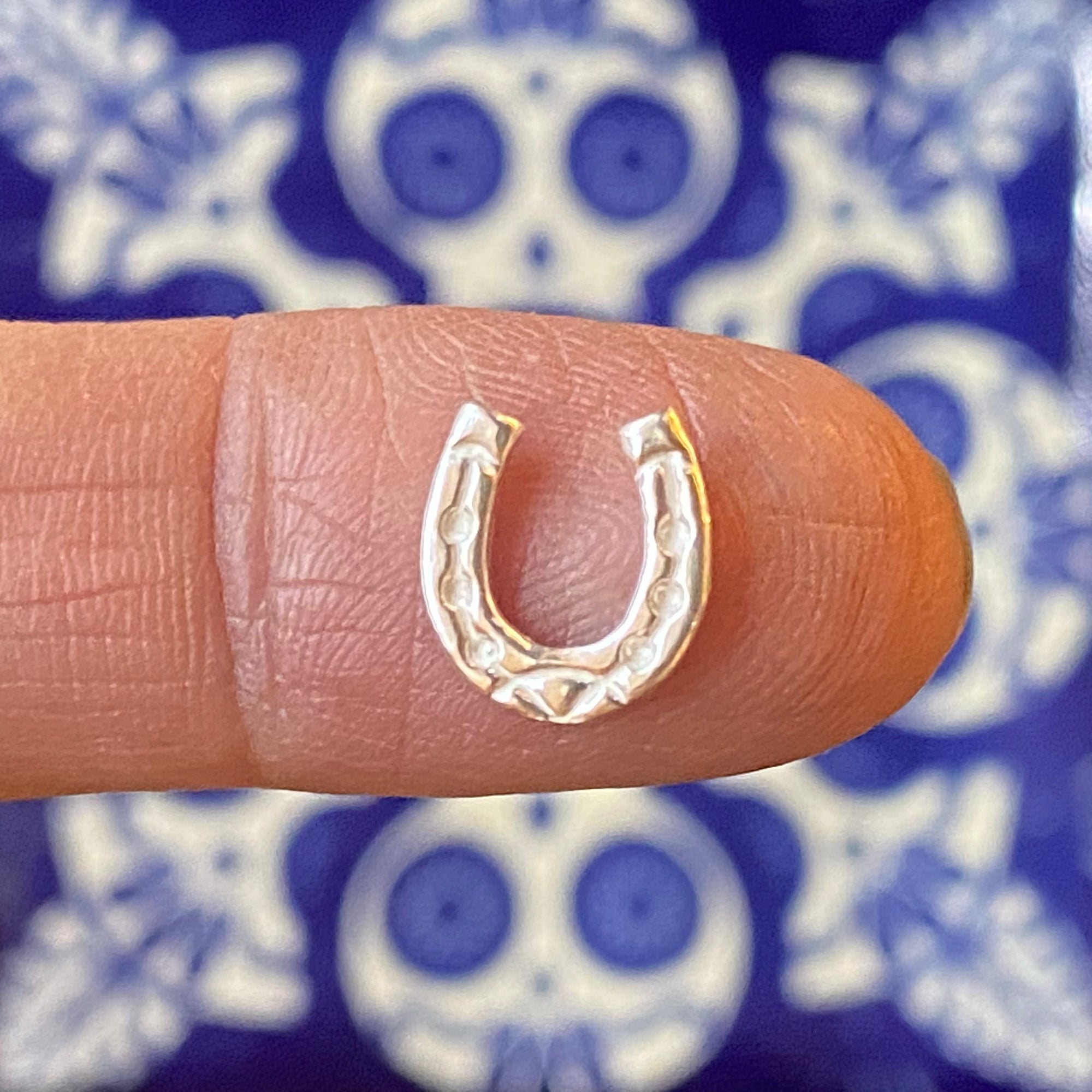 Small Horseshoe