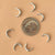 silver crescent moon casting